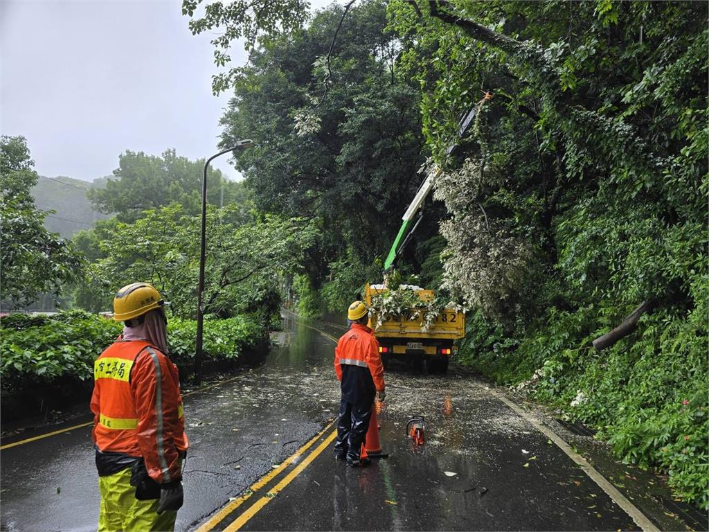 快新聞／暴雨狂炸北市！北投山區路樹倒塌橫躺「整條路封死」