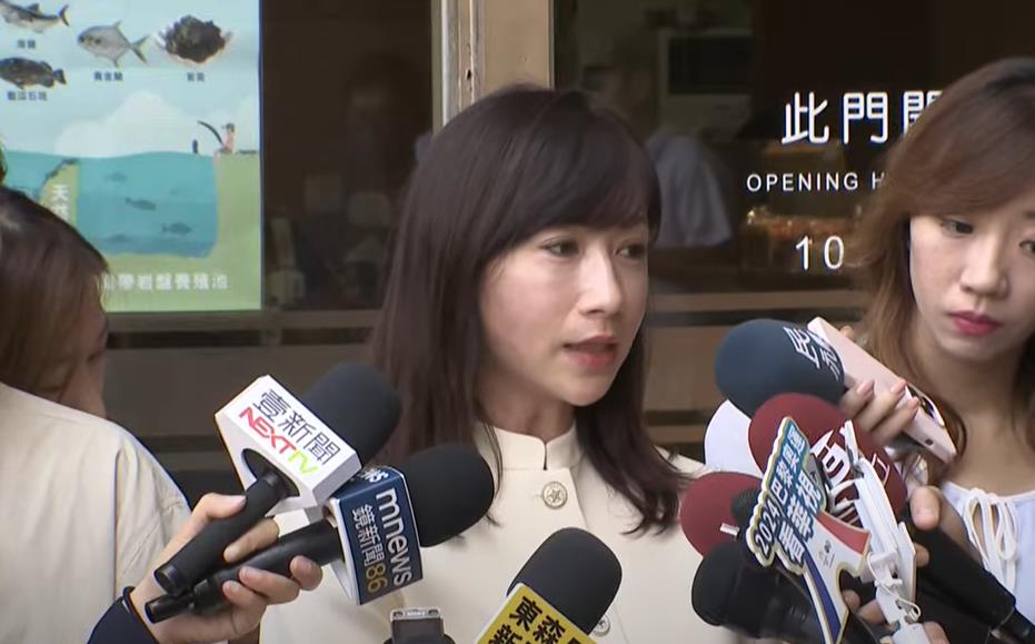 快新聞／國民黨驚傳「想開放中國人選台灣總統」！議員傻眼了：要瘋到什麼程度
