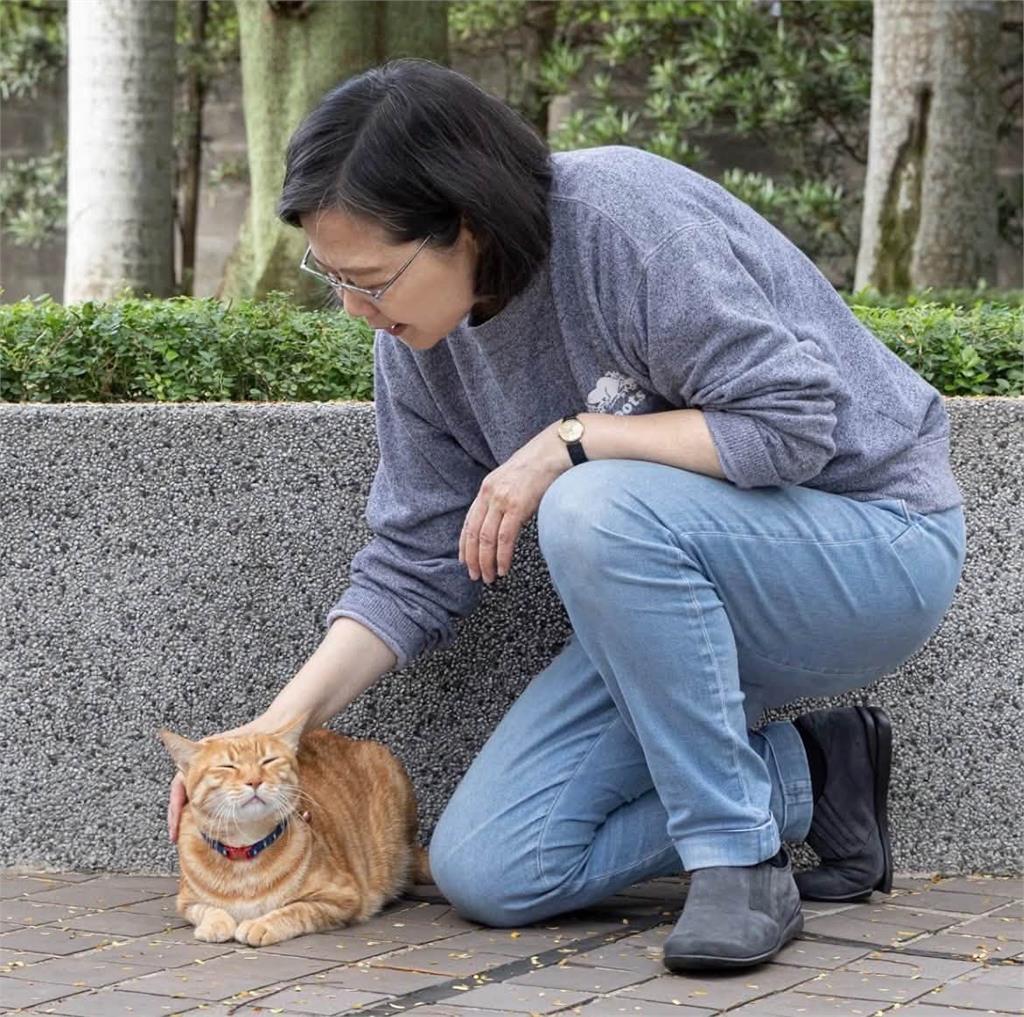快新聞／綠營有望翻轉台東？陳瑩自曝曾被「饒姊姊」親自任命「這職位」