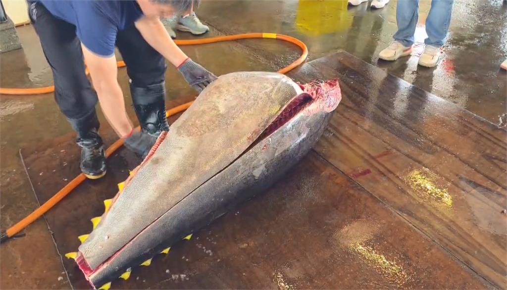 "屏東第一鮪"201萬4千元拍出 老字號餐廳第12年得標