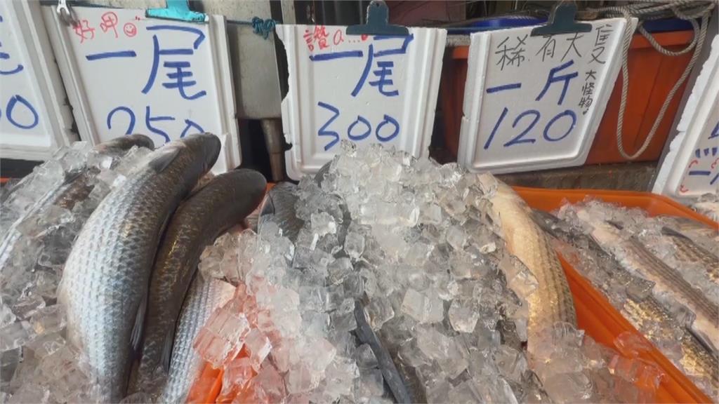 大豐收！四千尾「正頭烏」入港　彰化漁民第二波年終入袋