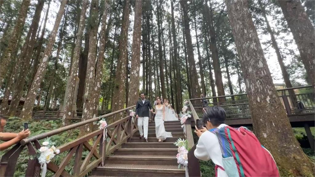 浪漫雲端婚禮! 阿里山神木見證 15對新人完婚