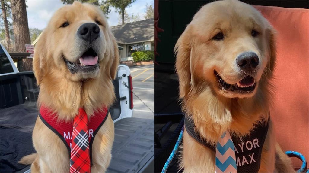 支持度比總統高！鎮長遭爆「賣身上位」官護3代炸裂內幕…無碼撫摸片流出