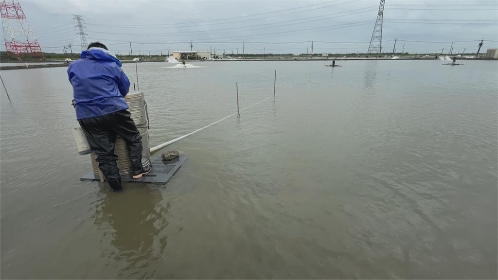 大雨狂炸3天！高雄永安累積雨量破740毫米　30萬條養殖虱目魚流失　損失近千萬