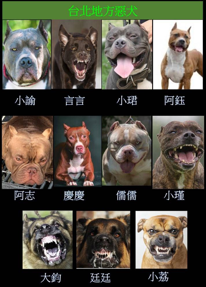 快新聞／又來？PTT網友疑效仿「小草」　製圖「台北11惡犬」影射北檢