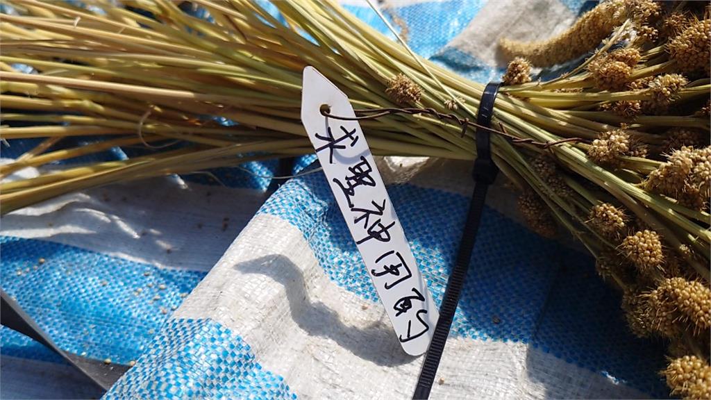 異言堂/過年禁打嗝 吃蔥蒜魚 以免觸怒小米女神
