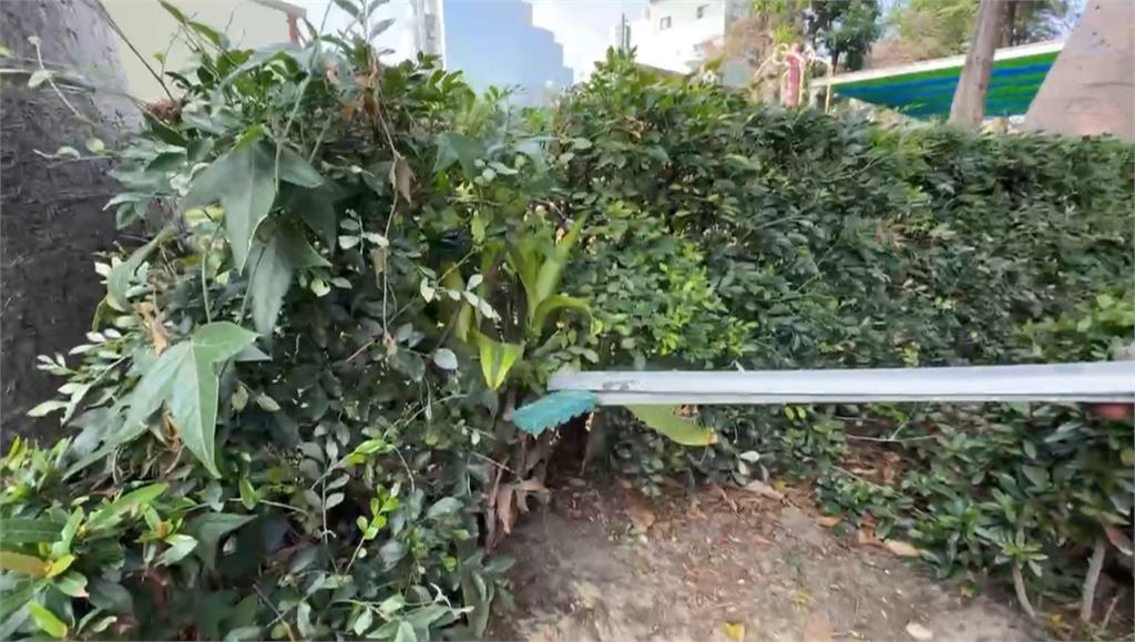 台南豐興公園遭投放大量老鼠藥 滅鼠超前佈署?恐貓犬誤食派員清除
