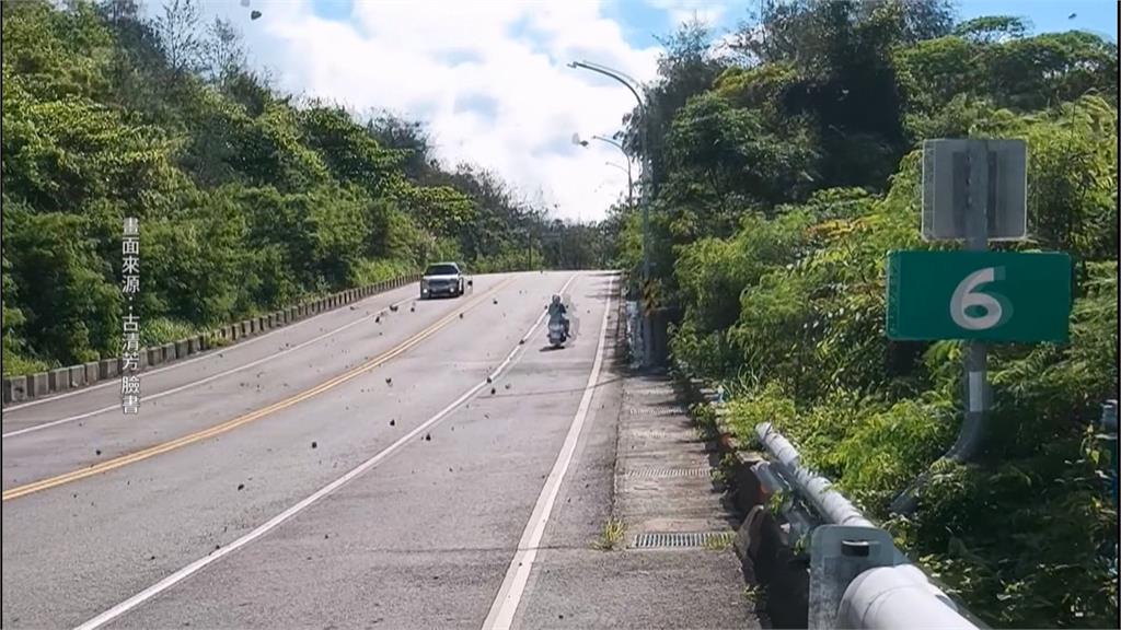 墾丁國家公園「紫斑蝶海」襲來　機車騎士為閃避擦撞郵務士
