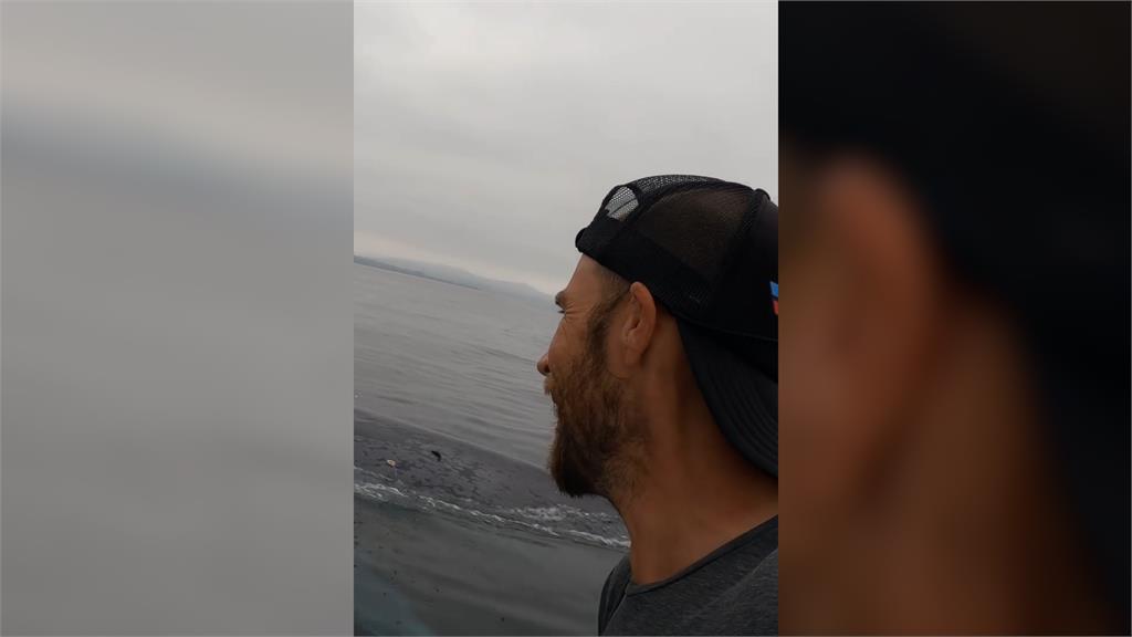 150噸藍鯨伴遊！男子海上與牠相遇　貼身「陪衝浪一小時」網羨慕