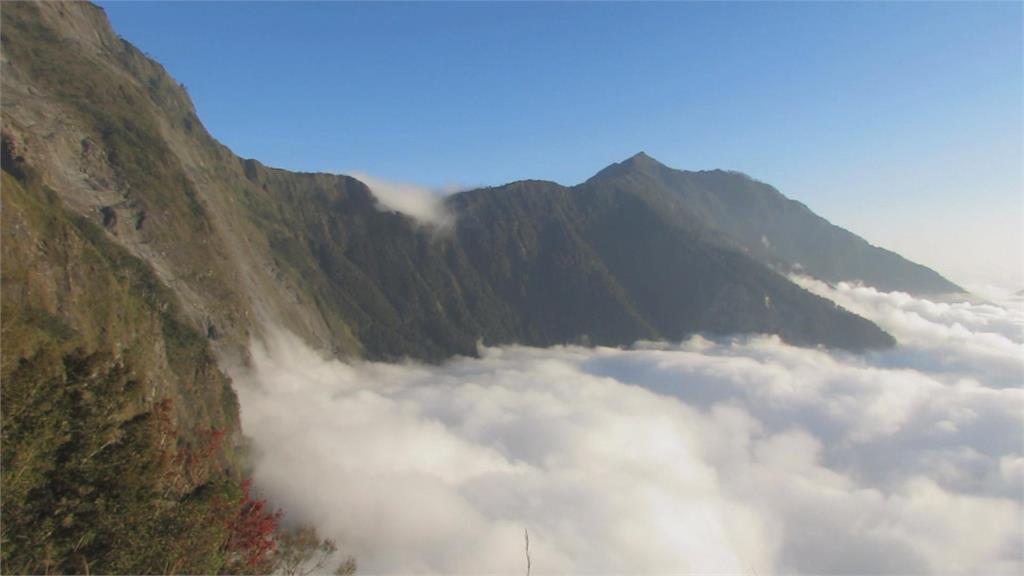 比兩年前的百年大旱還乾 屏東北大武山步道植物枯黃