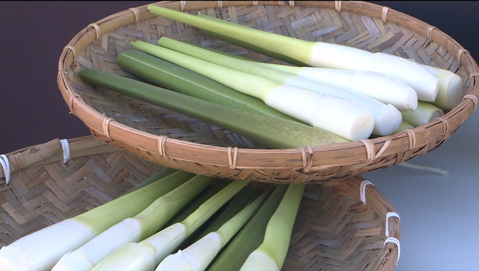 茭白筍產季到！　礁溪溫泉美人腿PK桃園甜度王