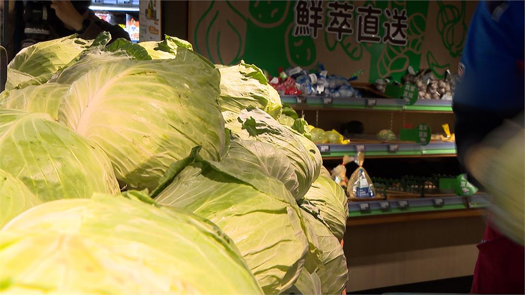 颱風重創產地!高麗菜1顆600元 農糧署釋出70噸蔬菜平穩菜價