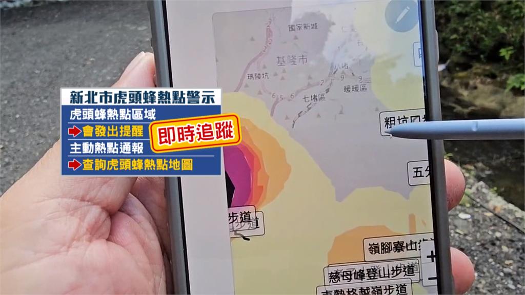 新北通報虎頭蜂攻擊近4千起　台大推警示系統避險
