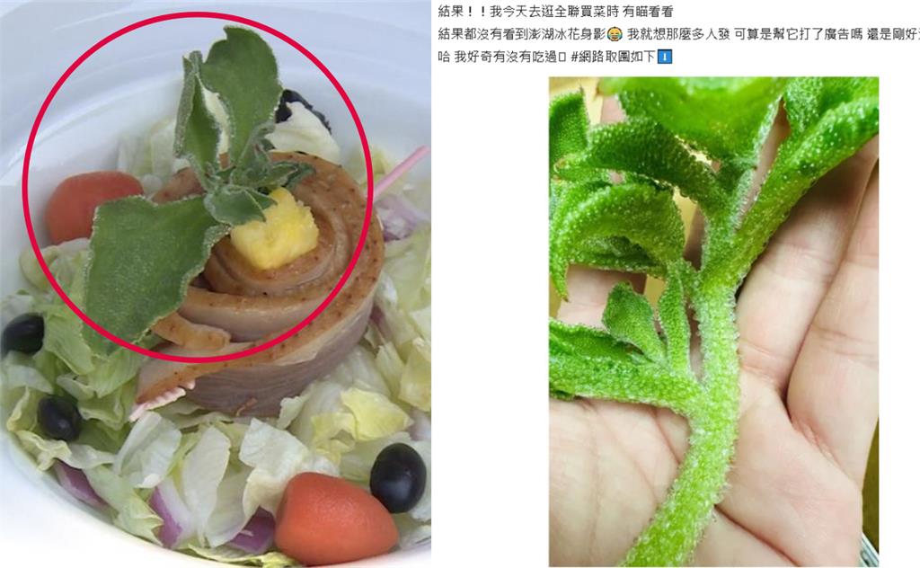 昔嘸人買…超市「1冷門蔬菜」突暴紅被掃空!老饕揭奇妙口感:像鹹的蓮霧
