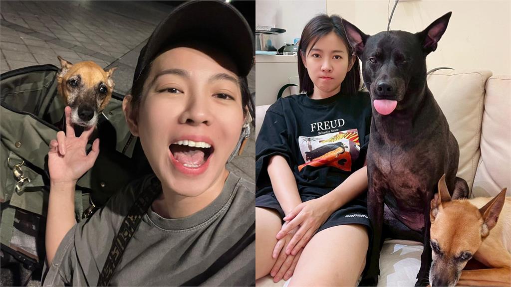 《好運來》米可白才開戰鍾東錦!「倒路邊身影突流出」網急關切內情曝光