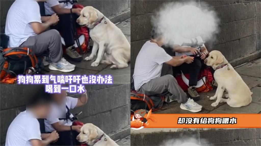 導盲犬全身溼透還遭「盲杖狂敲」！視障夫妻爬山虐狗行徑曝光…全網氣炸