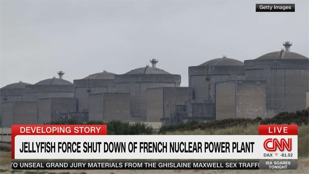 西歐最大核電廠傳事故！　「水母堵塞冷卻池」全廠停擺