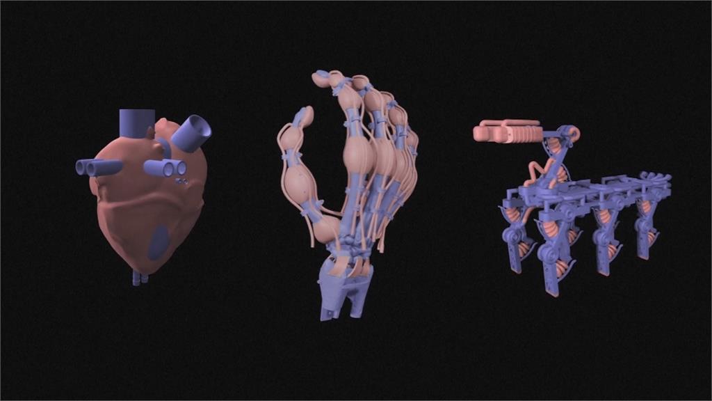 改良版機器手抄擬真　成功複製人類骨頭韌帶肌腱