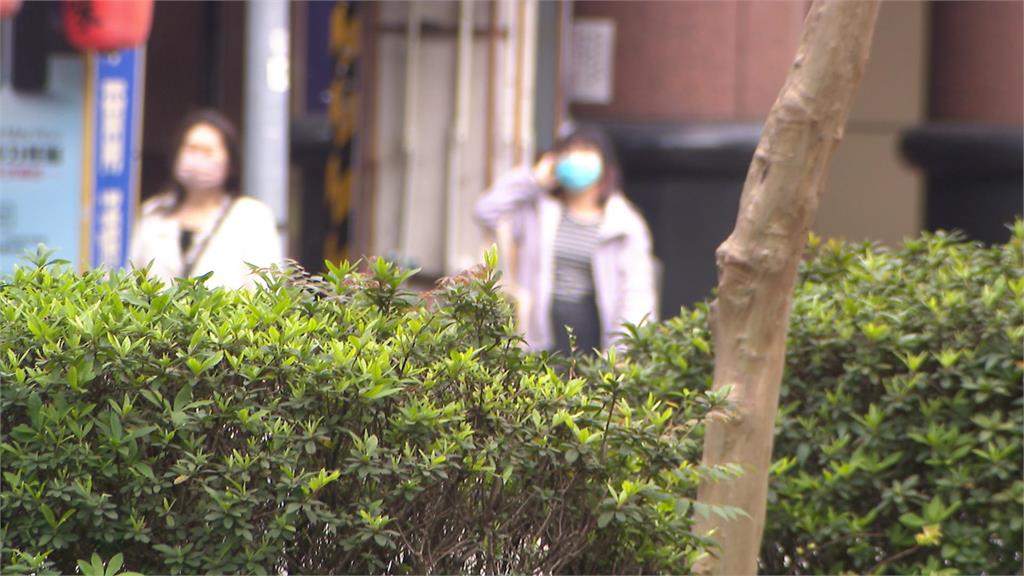 被告非美學權威?罵人「醜女」逆轉無罪 保障言論自由?法界看法兩極