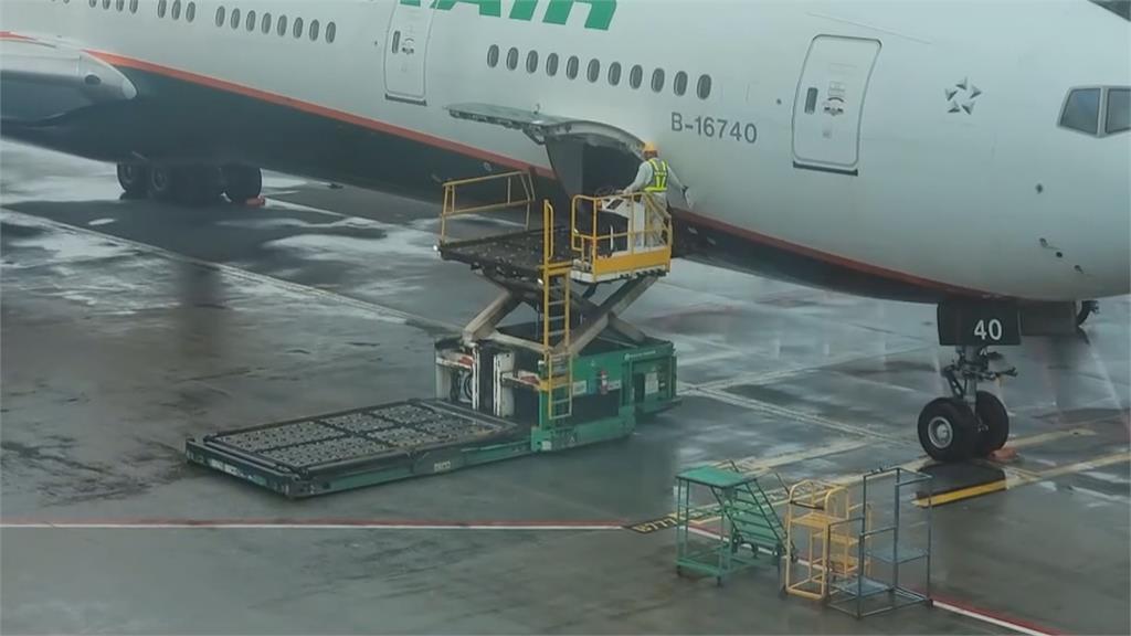 空服員病逝內部「調查報告」曝光!長榮:事務長已妥善安排休息