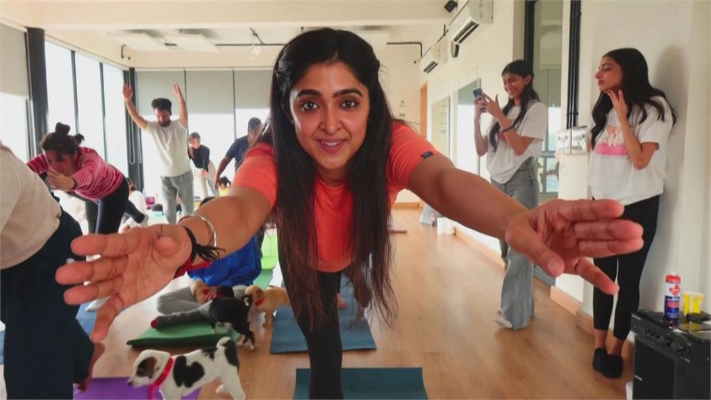 印度瑜伽班拯救被棄養狗狗　情人節一起開心上課