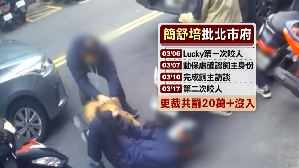 楊植斗否認關說比特犬 苗博雅嗆:喬開會還派助理盯場