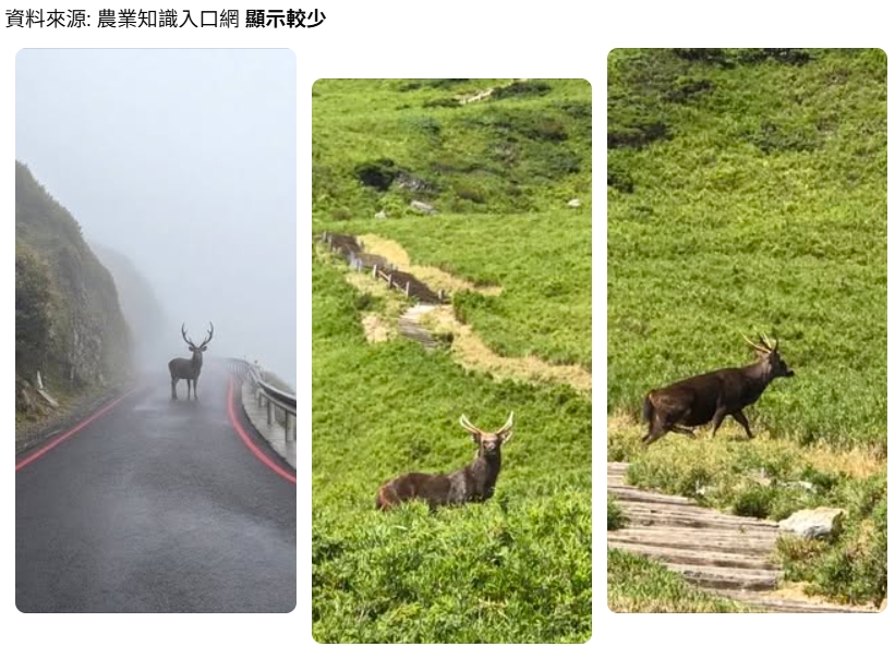 合歡山「山獸神」照片爆紅　翻車！粉專致歉：AI加工