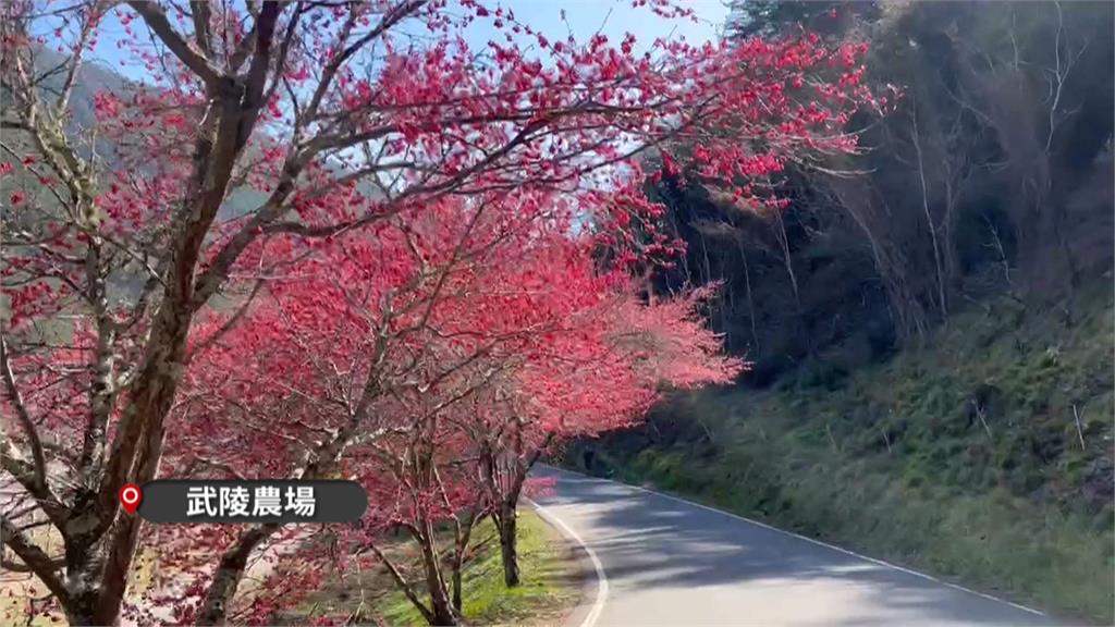 今年有望放117天假？　朝野籲將勞動節、教師節列國定假日　最快今年上路