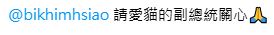 宜蘭動物收容所遭爆「像煉獄」 貓隻生存困難 所方出面澄清