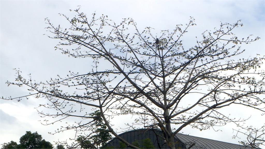 明起三波鋒面接力! 全台轉濕涼 228連假全台有雨