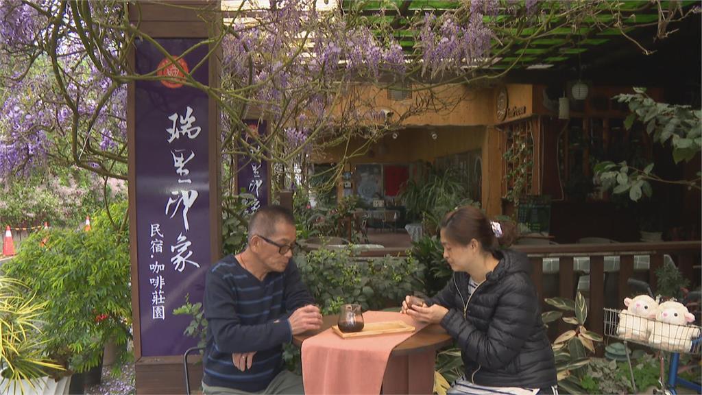 感受紫色山城浪漫! 瑞里紫藤花季仙氣滿滿吸遊客到訪