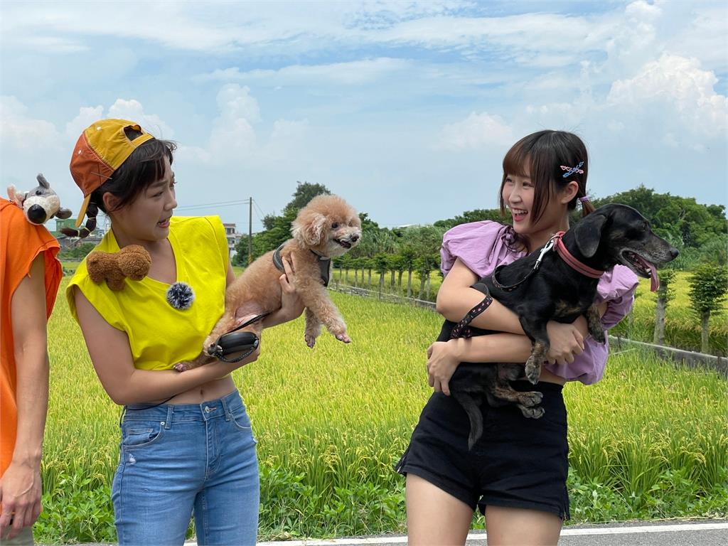 浩子首度公開愛犬「Jason」任何姿勢都難不倒他！「Jason」原來是阿翔扮演還咬陳大天的腿