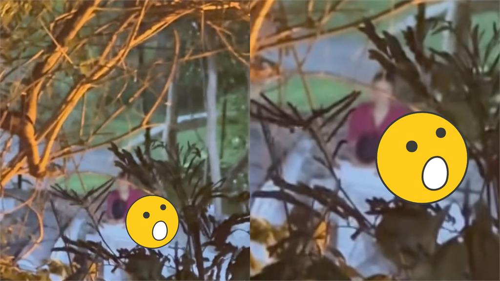 公園驚見「石桌野戰」！男女深情對看「上下狂晃動」41秒激情畫面曝光