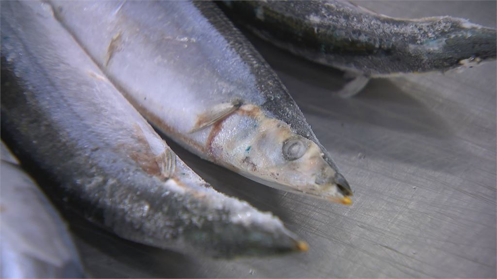 獨家／為什麼有些人不愛吃鯖魚？漁家網紅猩弟揭關鍵在「魚刺」