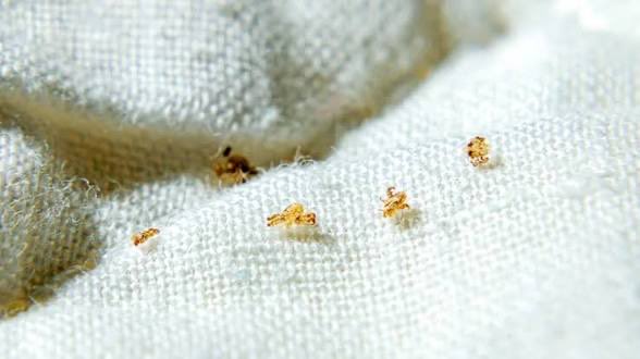 阿北下面奇癢「找妹妹被勸看醫生」！褲子一脫⋯醫看呆：滿布白透蟲卵