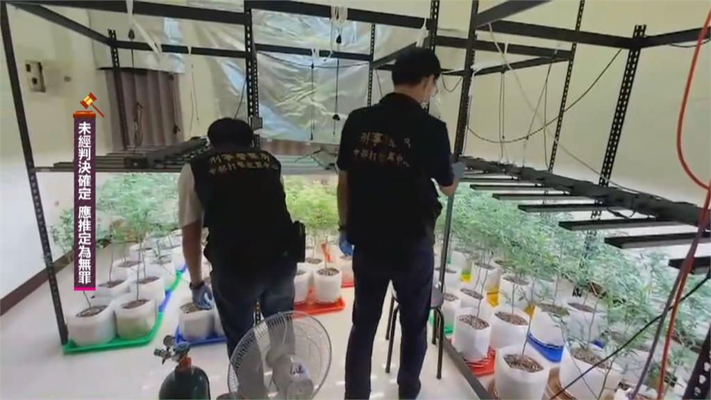 大麻栽種場隱身透天民宅 嫌犯自學種大麻移植分株