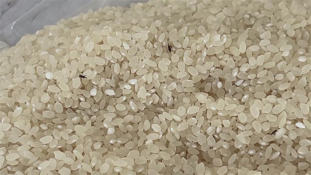 雲林「救助糧」有米蟲　農糧署要農會回收換發新米