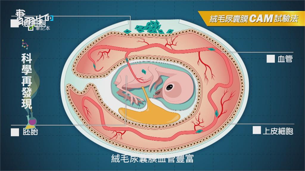 專做疫苗! "SPF雞蛋"生技醫療大未來