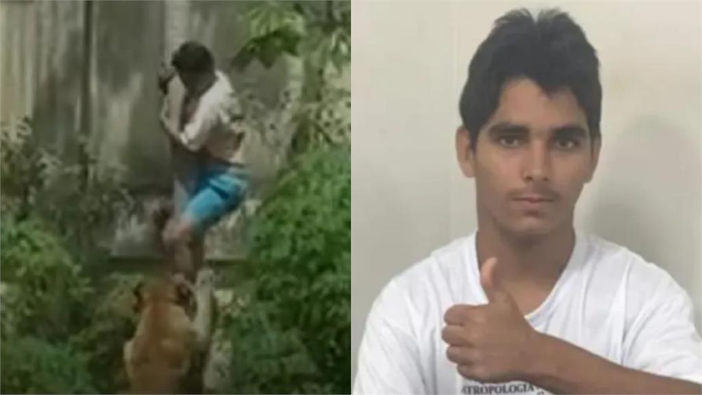 巴西男子翻越6公尺圍牆闖獅園!落地瞬間慘遭「瘋狂撕咬」恐怖瞬間曝光