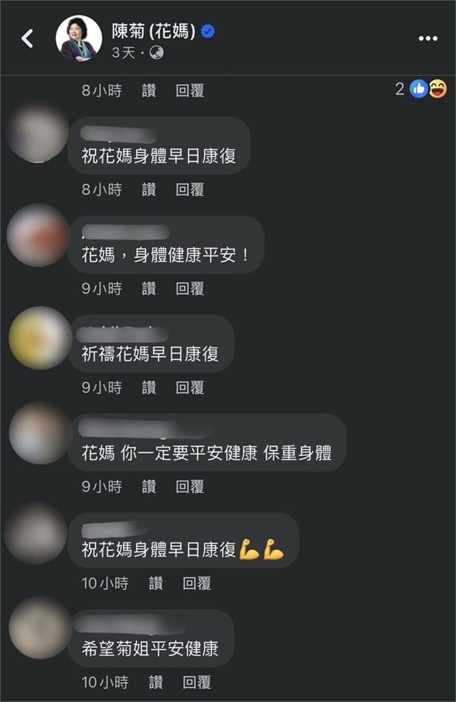 陳菊「腦血管阻塞」病倒!臉書定格「平安夜」粉絲灌爆:健康平安
