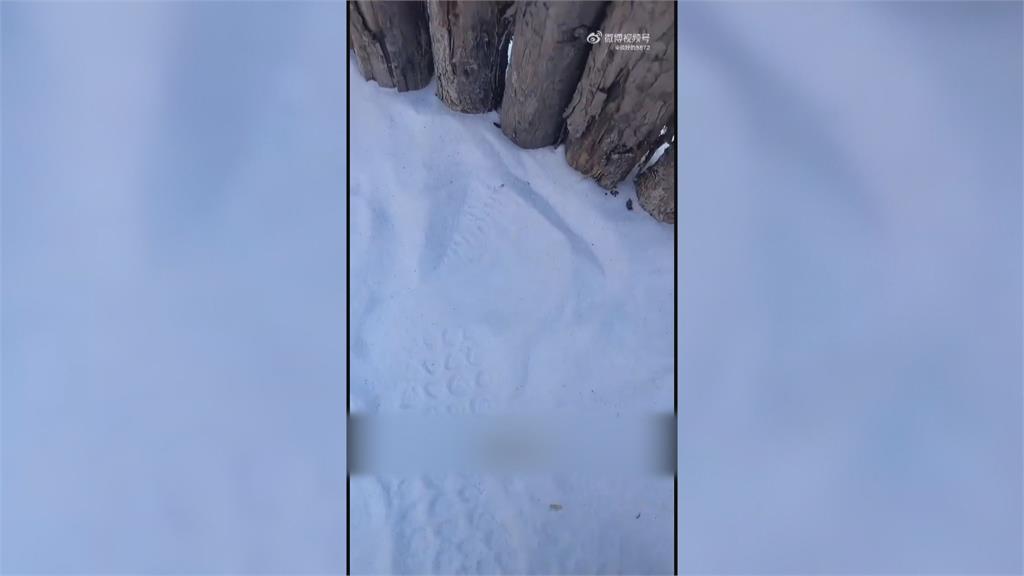 中國河南「冰雪狂歡節」造假！　遊客怒轟用「棉花.沙子」騙人