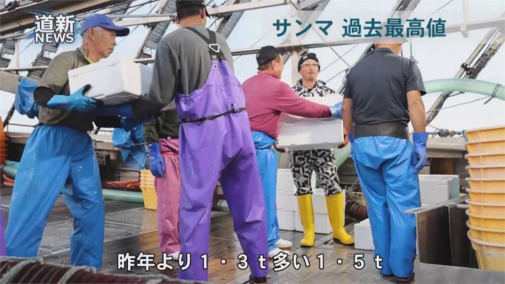北海道1條秋刀魚3800元台幣　創下史上新高紀錄