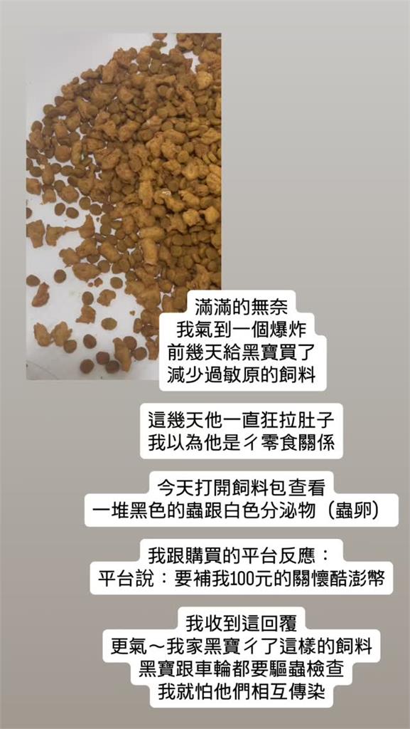 米可白愛犬狂拉肚子真相曝光！驚見「1景象」怒控平台遭冷回：只補償100元