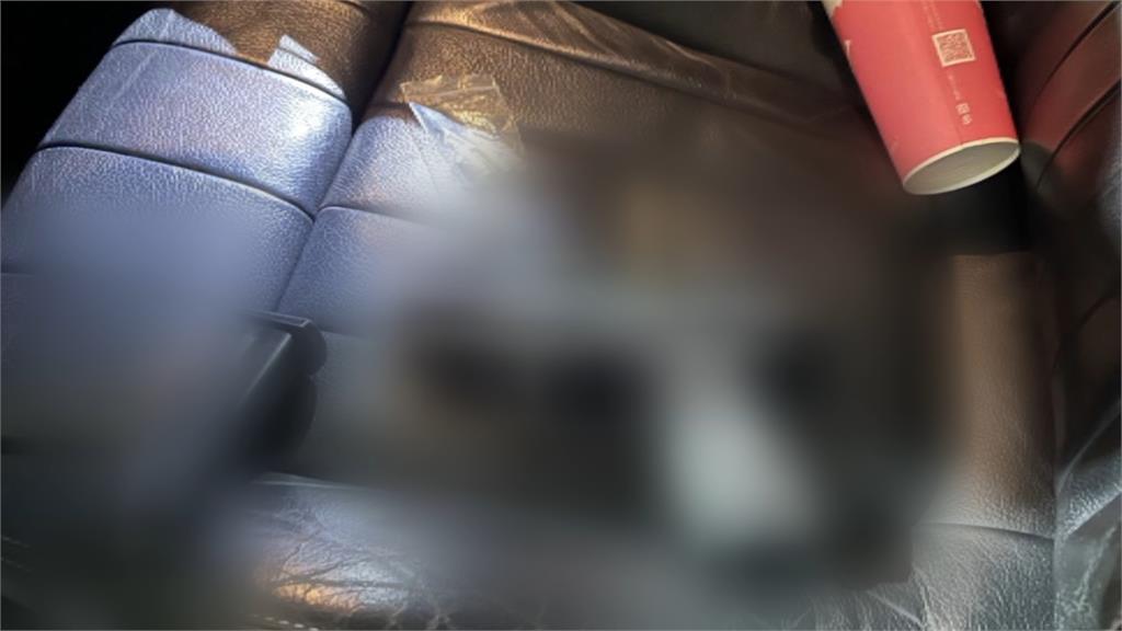 疑不滿被超車! 駕駛怒亮槍逼車 見警心虛逃仍被逮