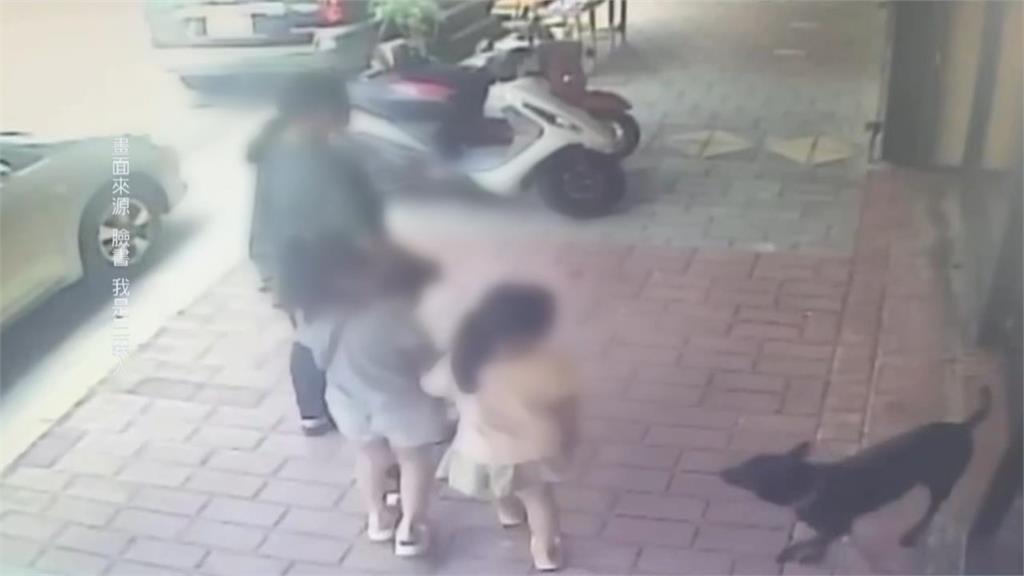 三義商店街黑狗「突暴衝咬3女童」！驚險畫面曝光…店家喊冤：狗不是我養的