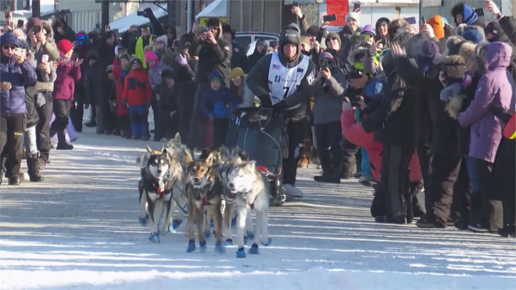 再創紀錄！阿拉斯加狗拉雪橇比賽　37歲老手六度奪冠