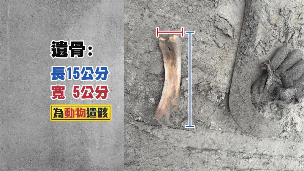 光復鄉失蹤夫妻！女兒找到遺物、遺骨　化驗證　實為「動物」遺骸