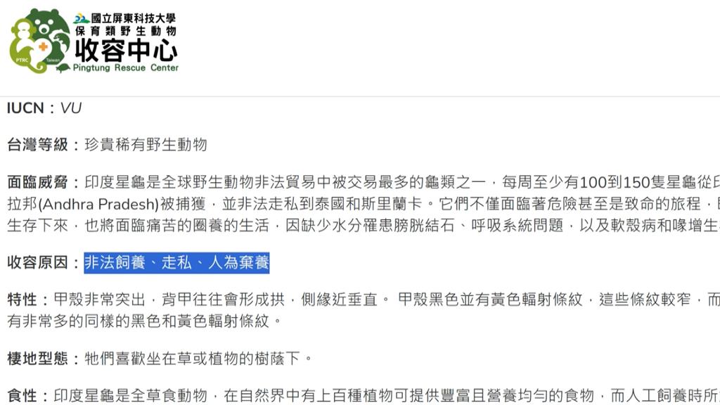 台灣乘客身綁３０隻印度星龜　企圖走私泰國機場被逮