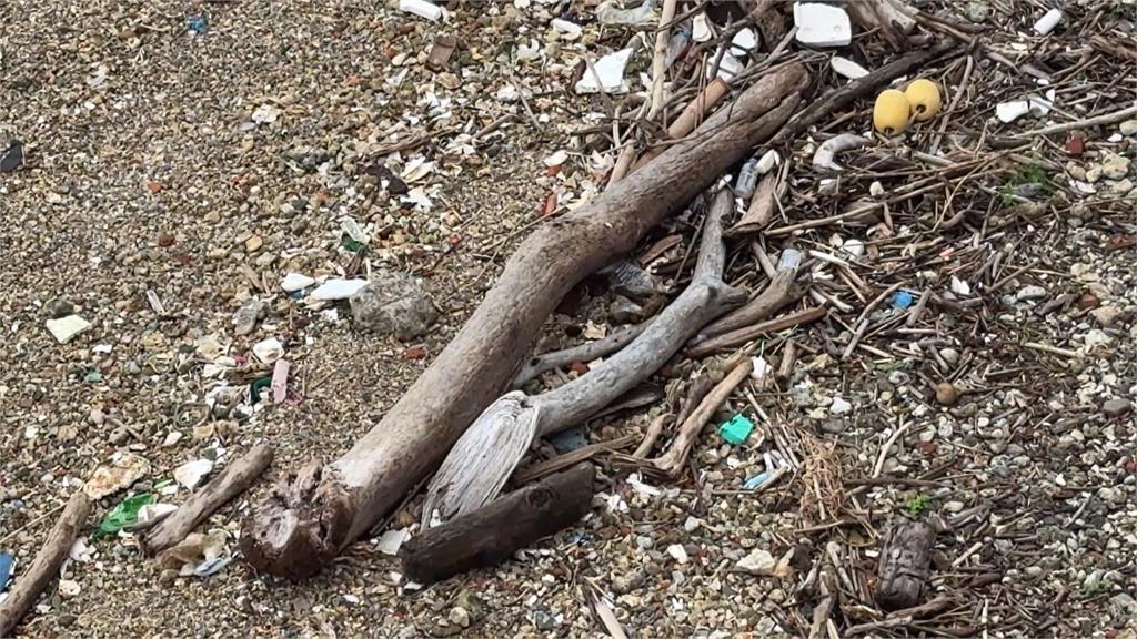 基隆港區「堆積大量漂流木」撞破船 議員:盼爭取天然災害補助