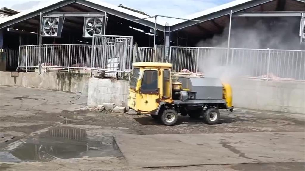 聞疫色變!雲林為「養豬最大縣」  張麗善強調:6年前禁餵廚餘